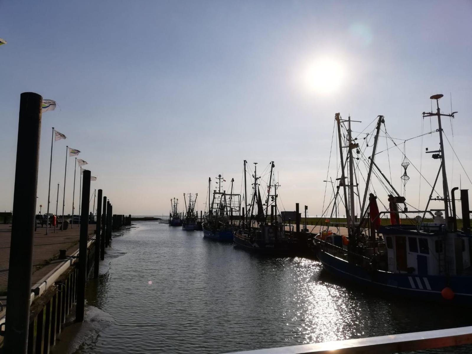 Ferienwohnung Alea, Zentrumsnah Bremerhaven Dış mekan fotoğraf