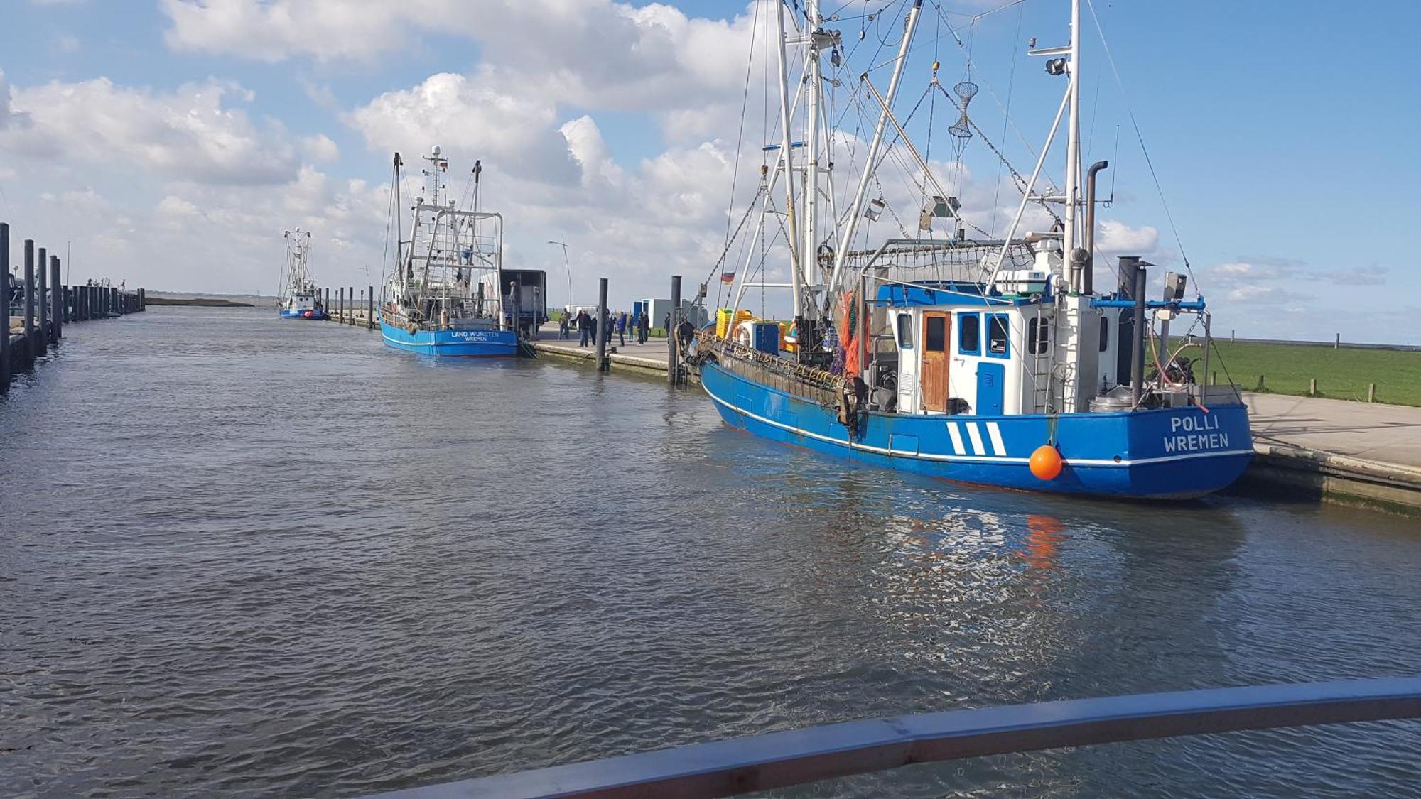 Ferienwohnung Alea, Zentrumsnah Bremerhaven Dış mekan fotoğraf